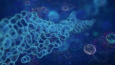 Image of molecules under a microscope Image of molecules under a microscope