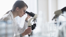 Lab technician at work Lab technician at work