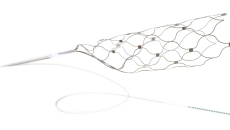 Synchron's Stentrode implant Synchron's Stentrode implant