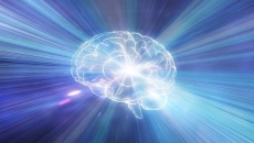 CGI brain image - Yuichiro Chino/Getty Images CGI brain image - Yuichiro Chino/Getty Images