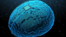 Digital image of a brain with a brain-computer interface on it Digital image of a brain with a brain-computer interface on it