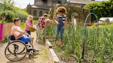 Community farm Comnunity farm