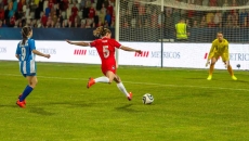 Soccer players on a field with one kicking a ball into the goal Soccer players on a field with one kicking a ball into the goal