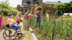 Children working in a garden in a rural area Children working in a garden in a rural area
