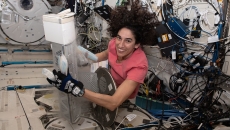 Flight engineer Jasmin Moghbeli works to retrieve Media Babs for Emory University's Project EAGLE investigation. Flight engineer Jasmin Moghbeli works to retrieve Media Babs for Emory University's Project EAGLE investigation.