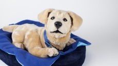 Image of robotic dog Image of robotic dog