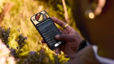 Person looking at a cell phone Person looking at a cell phone