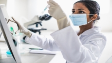 Scientist working in the laboratory Scientist working in the laboratory
