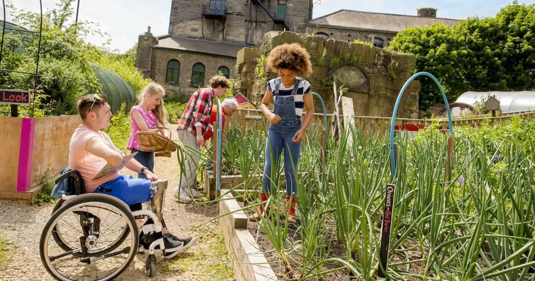 Children working in a garden in a rural area Children working in a garden in a rural area