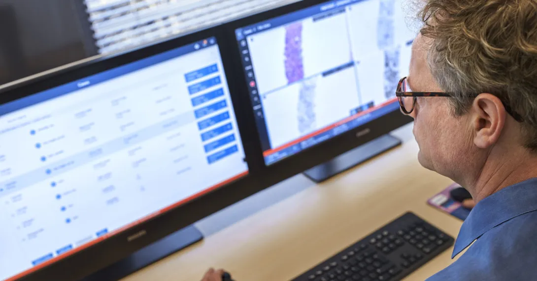 Pathologist using IntelliSite on a desktop computer