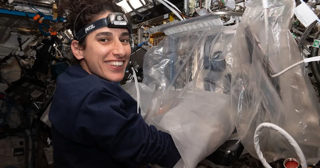 Jasmin Moghbeli Jasmin Moghbeli