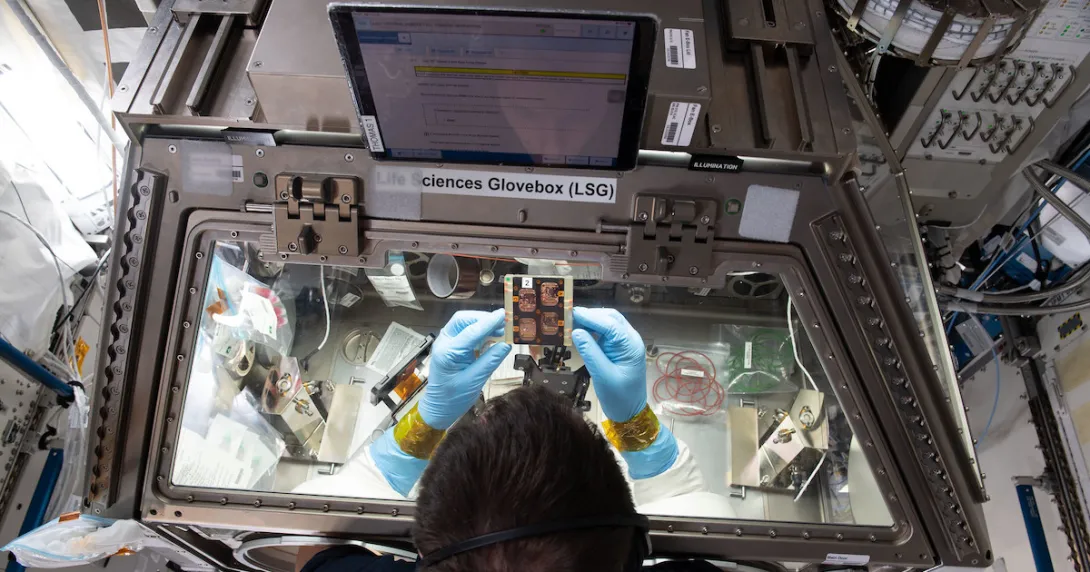 Photo: Courtesy of NASA Astronaut looking at scientific paraphernalia
